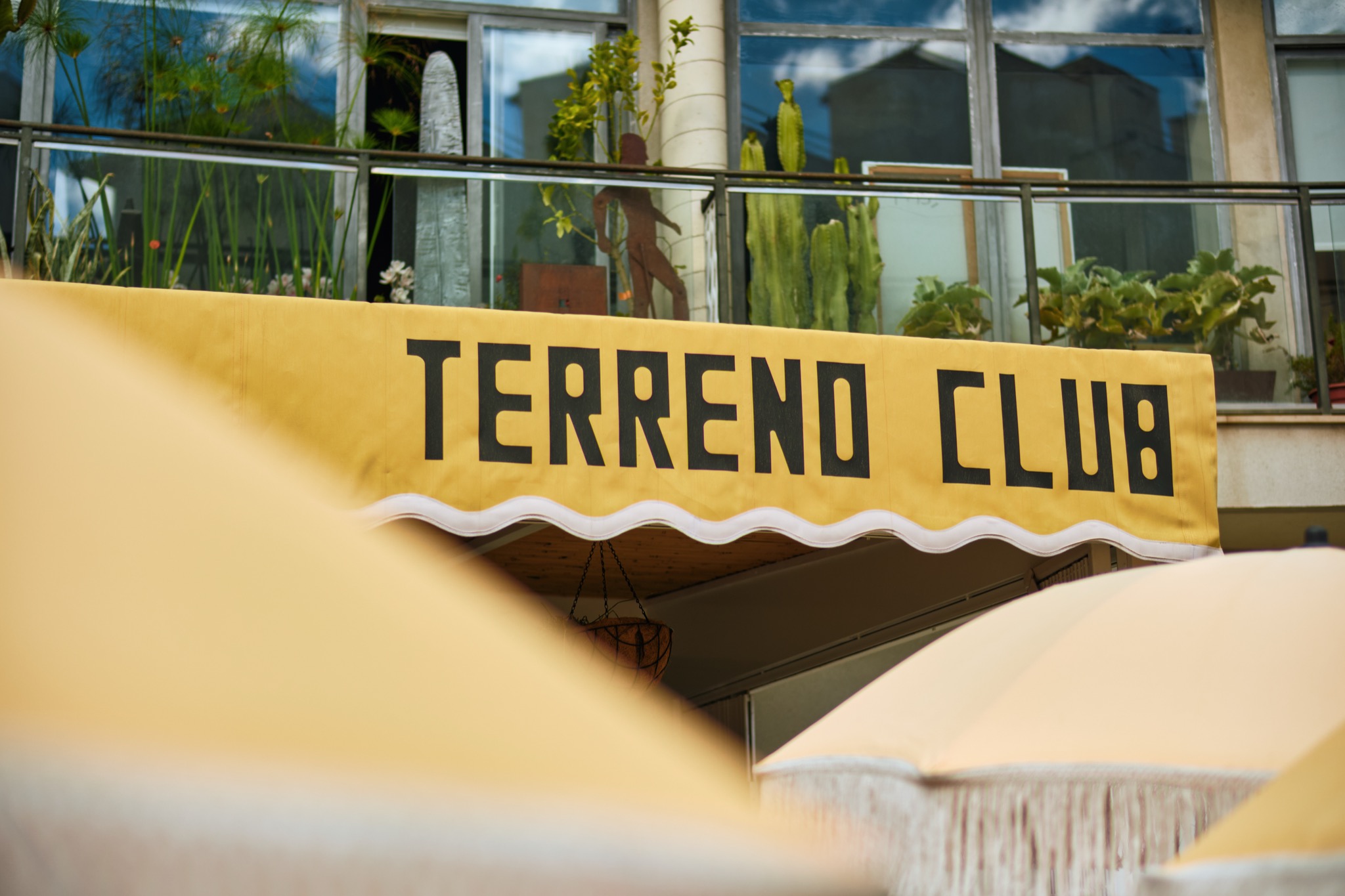 Outdoor pool at Terreno Club